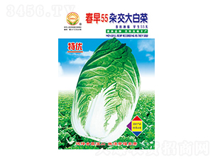 �ײ˷N��-����55-̫���N�I(y��)