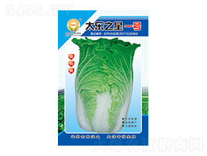 �ײ˷N��-̫��֮��һ̖��Ʒ��-̫���N�I(y��)