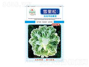 �׻�Ҭ�˷N��-ѩ����100��-̫���N�I(y��)