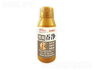 �ڰ��̃�-�����r(n��ng)��