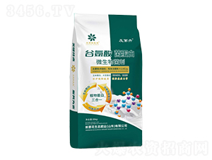 ΢�����������-�Ȱ��������-���⻨