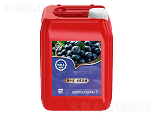 ���Ќ���¶���ǣ��{ݮ���ã�-��Խ�S-��ǰ�S