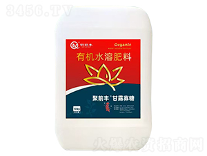 ��¶����-��ǰ�S-��ǰ�S