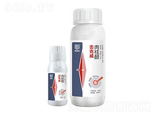 ���ȩ-������-���_