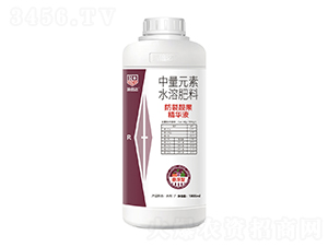 �����n�����AҺ-���_(d��)