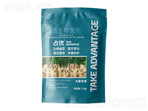 大姜專用微生物菌劑-占優(yōu)-邦爾泰
