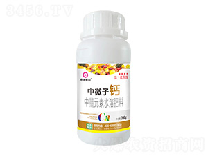 200g����Ԫ��ˮ�ܷ���-��΢���}-�r��ڈ@