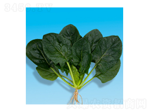 ���˷N��-孲�4̖-�A孷N�I(y��)