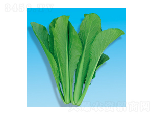 ��˷N��-�G��-�A孷N�I(y��)