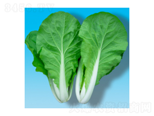 ��˷N��-����204-�A孷N�I(y��)