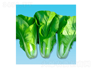 ��˷N��-����396-�A孷N�I(y��)