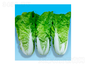 ��˷N��-�r��-�A孷N�I(y��)