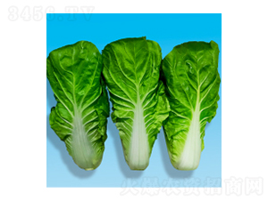 ��˷N��-����-�A孷N�I(y��)