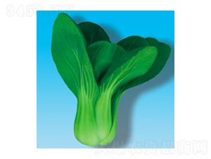 �๣�˷N��-���061-�A孷N�I(y��)