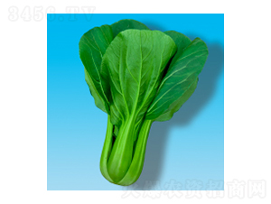 �๣�˷N��-���349-�A孷N�I(y��)