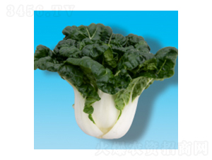 �๣�˷N��-�̰ײ�302-�A孷N�I(y��)