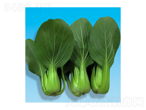 �๣�˷N��-������-�A孷N�I(y��)