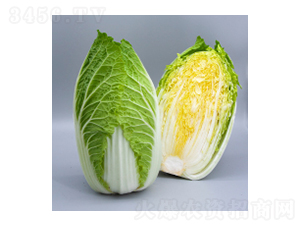 ��ײ˷N��-��ײ�15̖(h��o)-�A孷N�I(y��)