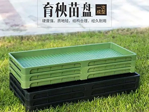 育苗秧盤-輝遠(yuǎn)科技