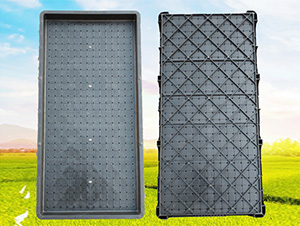 9���պ�����P-ʢ�S�r(n��ng)�C(j��)