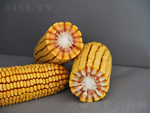 DF41-���׷N��-�Ǻ�����N�I(y��)