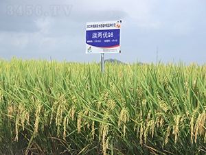 ��Ƀ�(y��u)Q8-ˮ���N��-�𽡷N�I(y��)