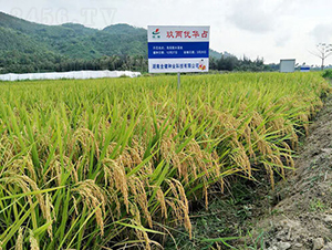 ���Ƀ�(y��u)�Aռ-ˮ���N��-�𽡷N�I(y��)