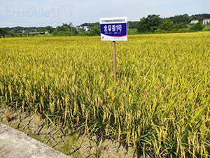 ������1̖-ˮ���N��-�𽡷N�I(y��)