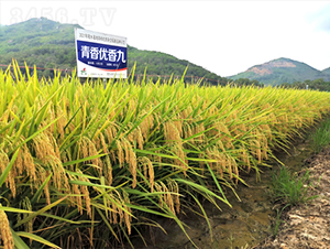 ���マ(y��u)���-ˮ���N��-�𽡷N�I(y��)