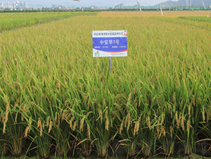 �а�7̖-ˮ���N��-�𽡷N�I(y��)