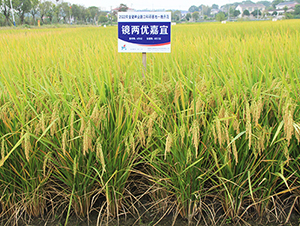 �R�Ƀ�(y��u)����-ˮ���N��-�𽡷N�I(y��)