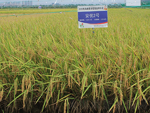 ����(y��u)2̖-ˮ���N��-�𽡷N�I(y��)