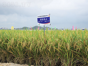 ��ɏ��ռ-ˮ���N��-�𽡷N�I(y��)