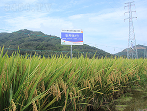 ���Ƀ�(y��u)2̖-ˮ���N��-�𽡷N�I(y��)