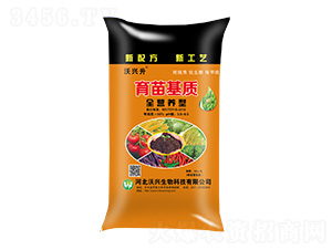 ������|(zh��)��ȫ�I(y��ng)�B(y��ng)�ͣ�-���d��-���d����