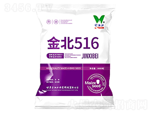 ��516-���׷N��-�������N�I(y��)