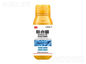 �ͺ�΢�������-�ĺϾ�-���S�r�I(y��)