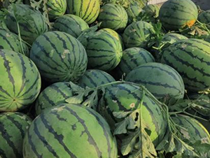 ���S16̖(h��o)-���ϷN��-���S�N�I(y��)