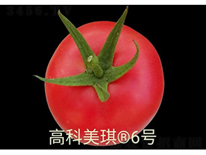 �߿�����6̖-���ѷN��-���S�N�I(y��)