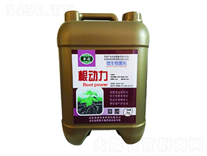 ΢�������-������-�³��r�I(y��)