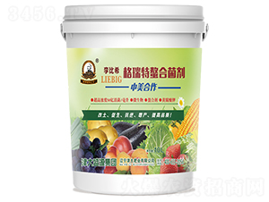 ���������Ͼ���-���ϣ-���ʢԴ