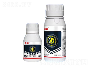 �������x���Ú��x��-����-����ɭ