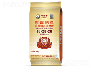 ���Ľj(lu��)�ϓ����16-20-20-���ϣ-���ʢԴ