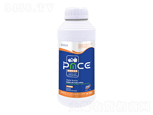 ����������ˮ�ܷ���-��˹�����-����˹