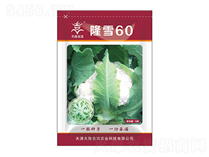 ¡ѩ60-��¡����-��¡�r(n��ng)�I(y��)