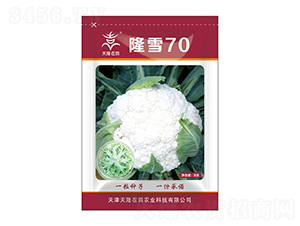 ¡ѩ70-��¡����-��¡�r(n��ng)�I(y��)