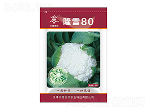 ¡ѩ80-��¡����-��¡�r(n��ng)�I(y��)