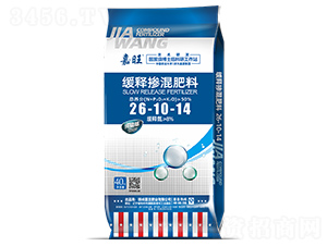 ��ጓ������26-10-14-����-���ʢԴ