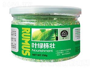 �~�G���-�̶�����