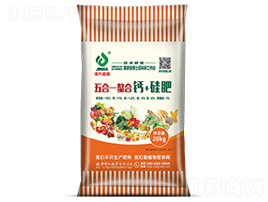 ���һ���������}+���-���ʢԴ